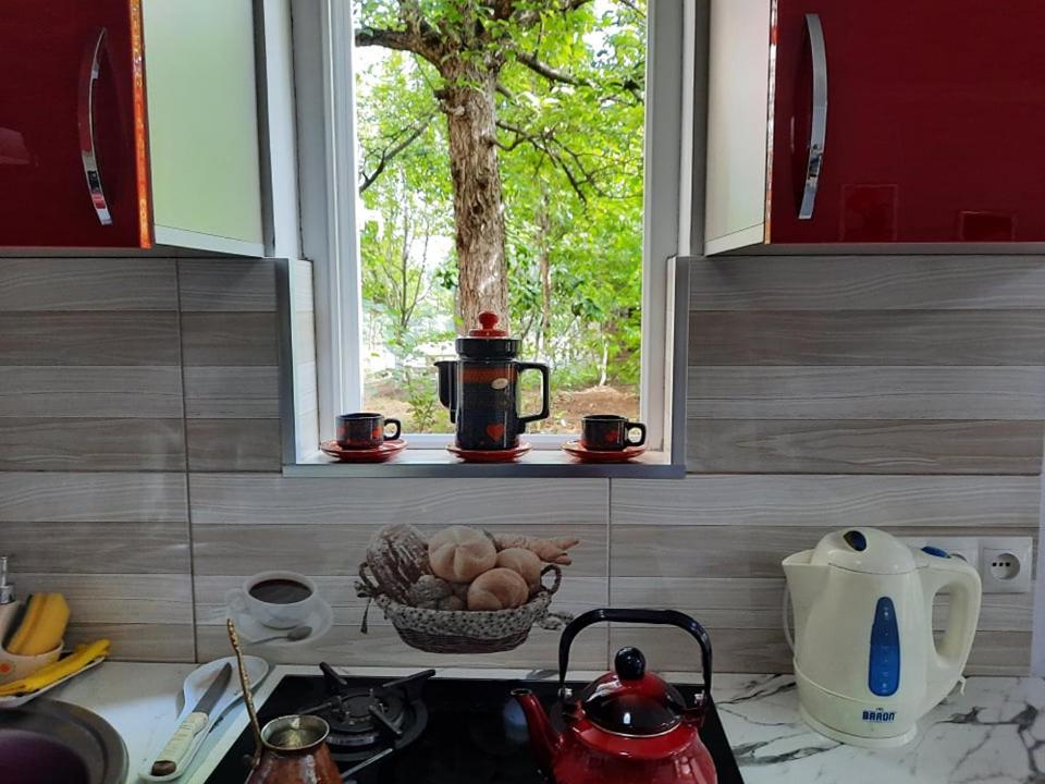 A Rioni Hotell Kutaisi Eksteriør bilde